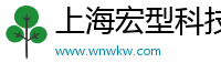 上海宏型科技